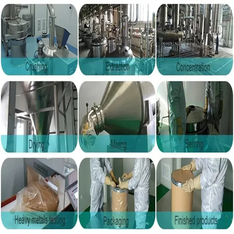 50g-1000g Food Grade 100% Pure Hydroxyapatite 60 Nano Powder for Toothpaste
