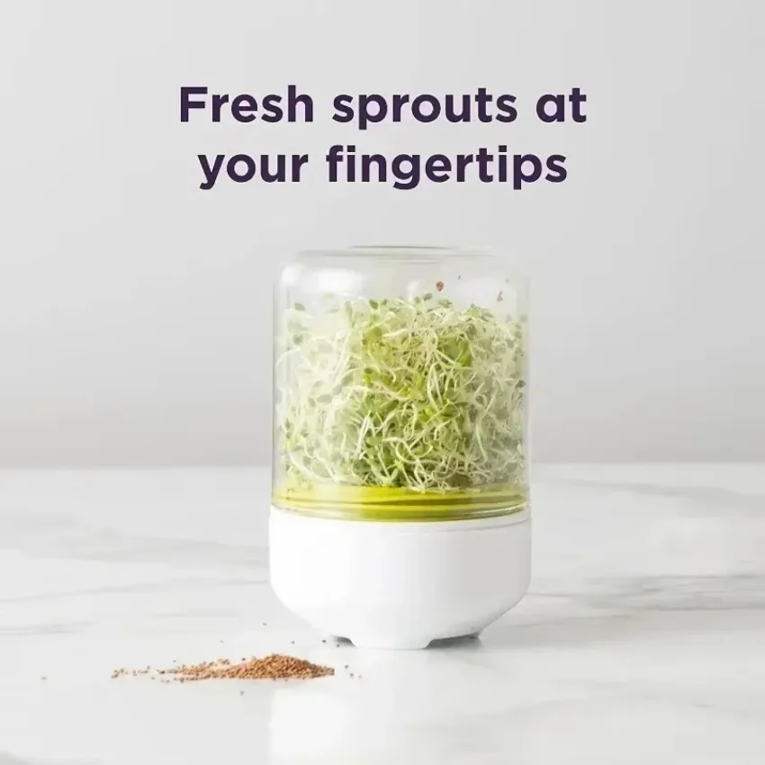 Sprouting System Seeds Container Sprouting Jar Kit Sprouts Growing Kit Wide Mouth Reusable Household Kitchen Bean Plants