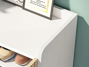 shoe cabinet