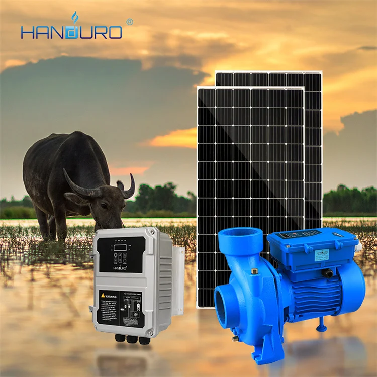 

110V 1500W 27m 3/h 21M 2HP Solar Dc насос для поверхностного водоснабжения для сельскохозяйственного орошения