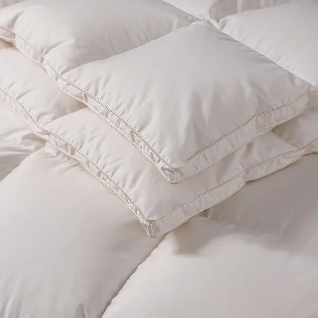Couette Luxueuse en Duvet d'Oie Blanche, pour Lit d'Hiver, King et Queen Size, Remplie de 95% Duvet d'Oie Blanche de Qualité 5A, Non Adulte 5