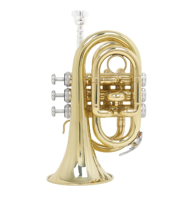 Palm Horn Brass B Flat for Beginners Band, Band, Instrument, Cornet