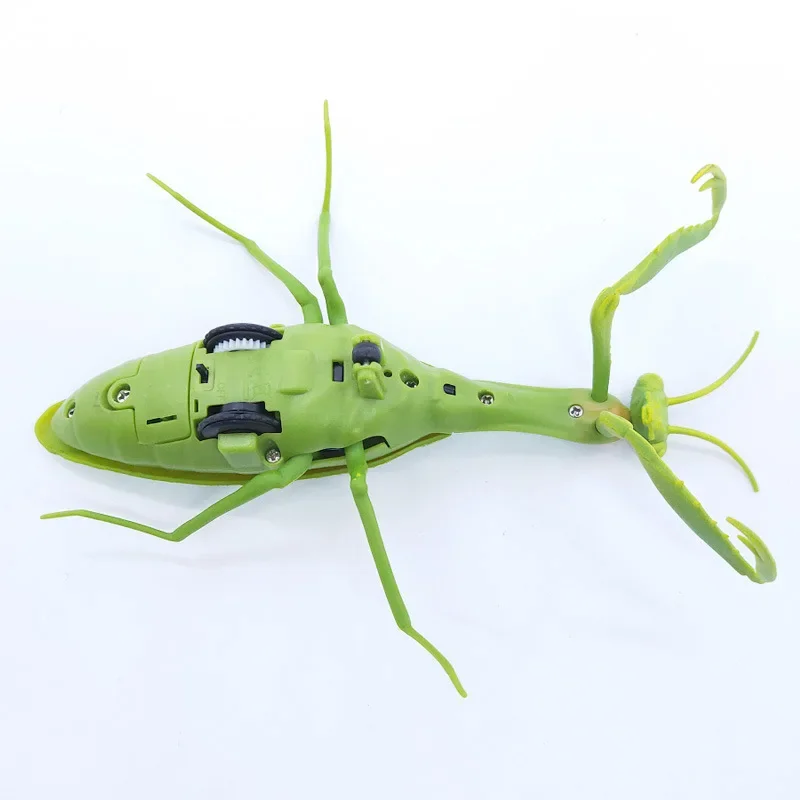 NEW Infrared Remote Control Cockroach Simulation Animal Creepy Spider Bug Prank Fun RC Kids Toy Gift High Quality Drop Shipping 6