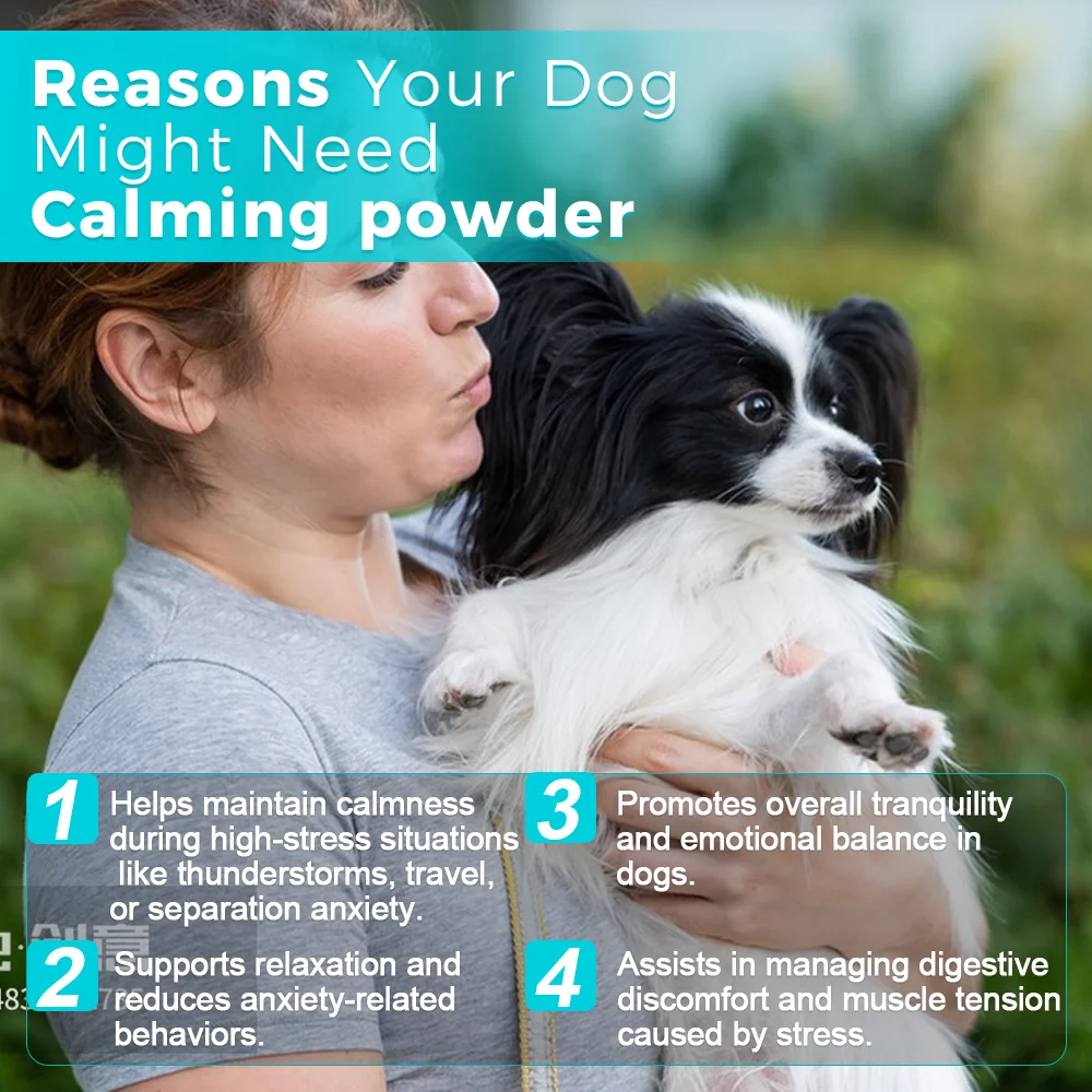 Calming Powder for Dogs Reduces Anxiety Stress and Promotes Relaxation