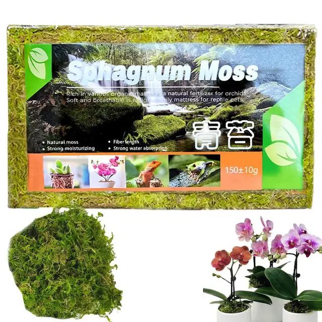 Sphagnum Moha Növény Természetes Cserepes Keveréke Száraz Tőzeg Hidratáló Orchidea Zamatos Növényi Gyökerek Növekedési Műtrágya - Image 5