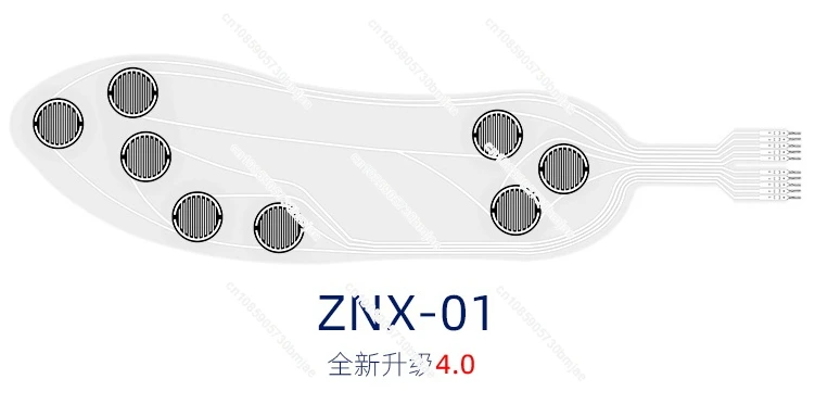 

Customized Flexible Film Pressure Sensor Znx-01 Intelligent Insole Varistor Multi-point Sensing