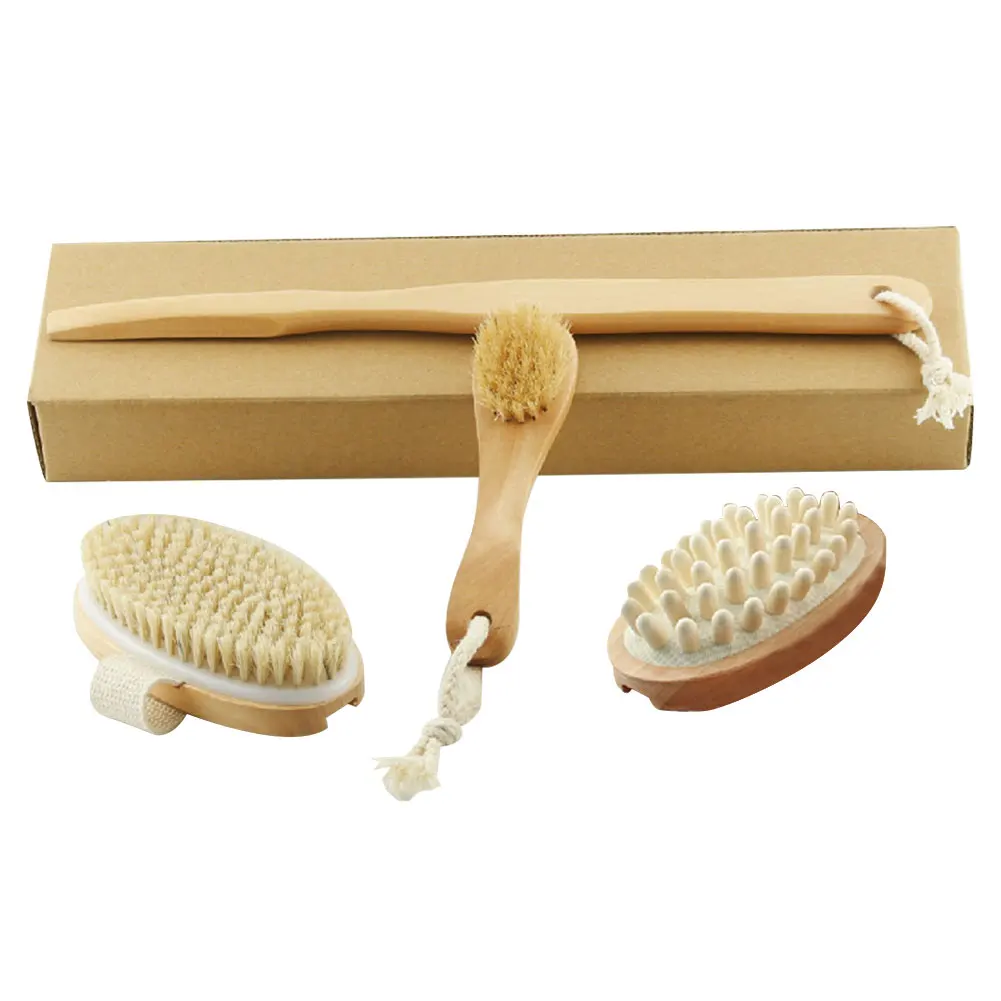 

3pcs/set Massage Brush Exfoliating Scrubbing For Cellulite Dry Wet Body Bristle Bathroom Head Replaceable With Handle Shower