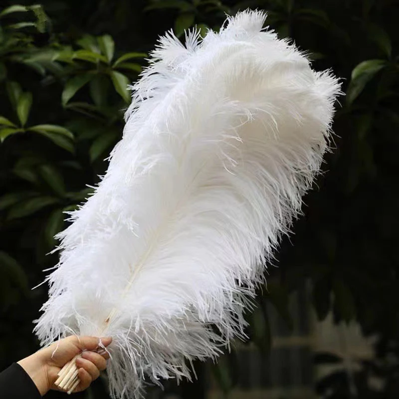 1pcs Natural Leather Pink Ostrich Feathers For Crafts Wedding