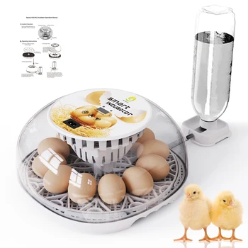 21995-f97432.jpg 12 Eggs Incubator for Hatching Eggs with Automatic Egg Turner, Temperature Control, Automatic Water Adding for Hatching Chicken,