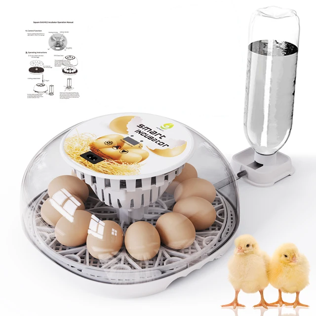 12 Eggs Incubator for Hatching Eggs with Automatic Egg Turner, Temperature Control, Automatic Water Adding for Hatching Chicken,