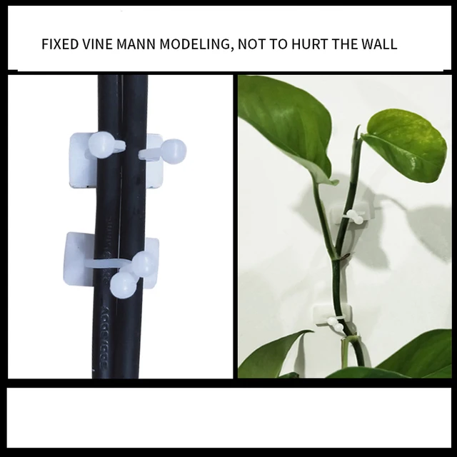 Növényi Hegymászó Fali Klipek Szőlő Csat Rögzítő Ön Adagoló Stent Láthatatlan Szőlőmászó Rögzített Konzol - Image 5