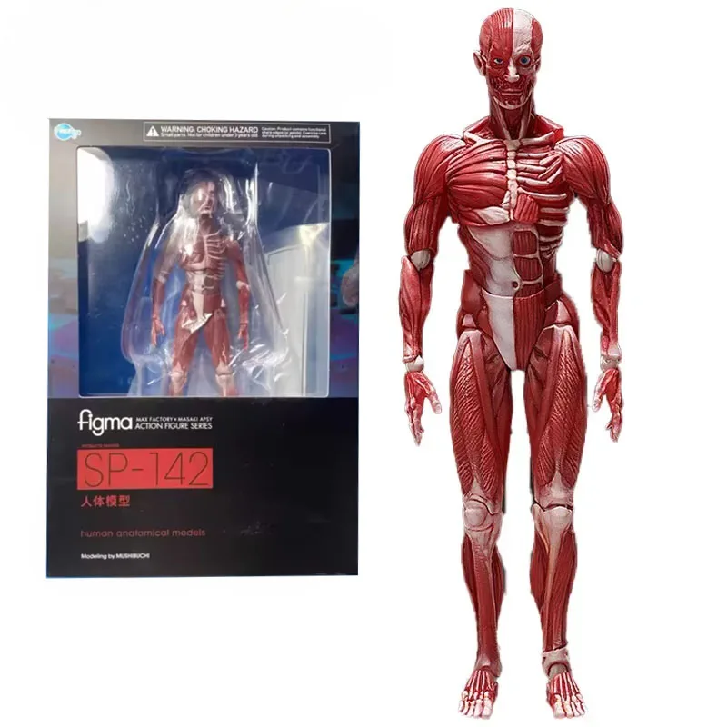 KING TUTANKHAMUN THE Mummy Dx Ver. FIGMA Table Museum action figure SP-145DX EUR 188,99