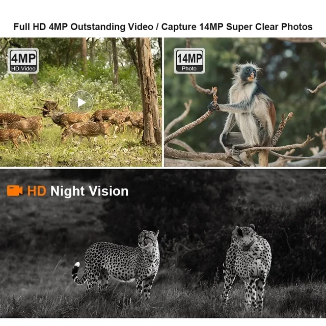 LS VISION Solar Hunting Trail Camera 14MP 4G SIM Card IP66 Waterproof 20M PIR Motion Detection Wildlife Camera IR Night Vision 3