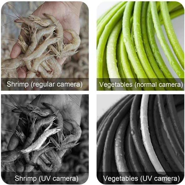 Mini caméra UV pour iPhone téléphone Android Protection solaire faciale Visible caméra UV Portable pour Test de Protection solaire 6