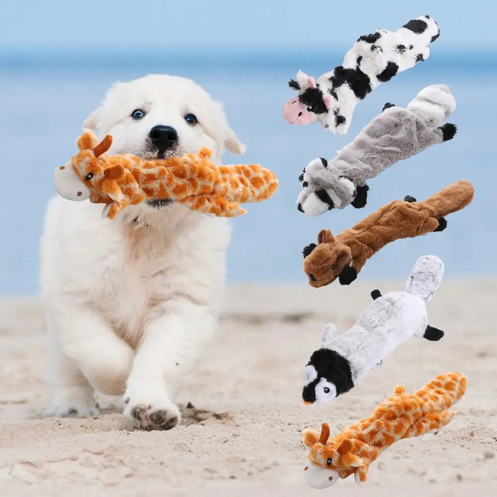 6 Stuks Hond Kauwspeelgoed Set, Hond Bijten Tanden Training Speelgoed Duurzaam Knuffel Hond Piepende Interactieve Speelgoed voor Honden