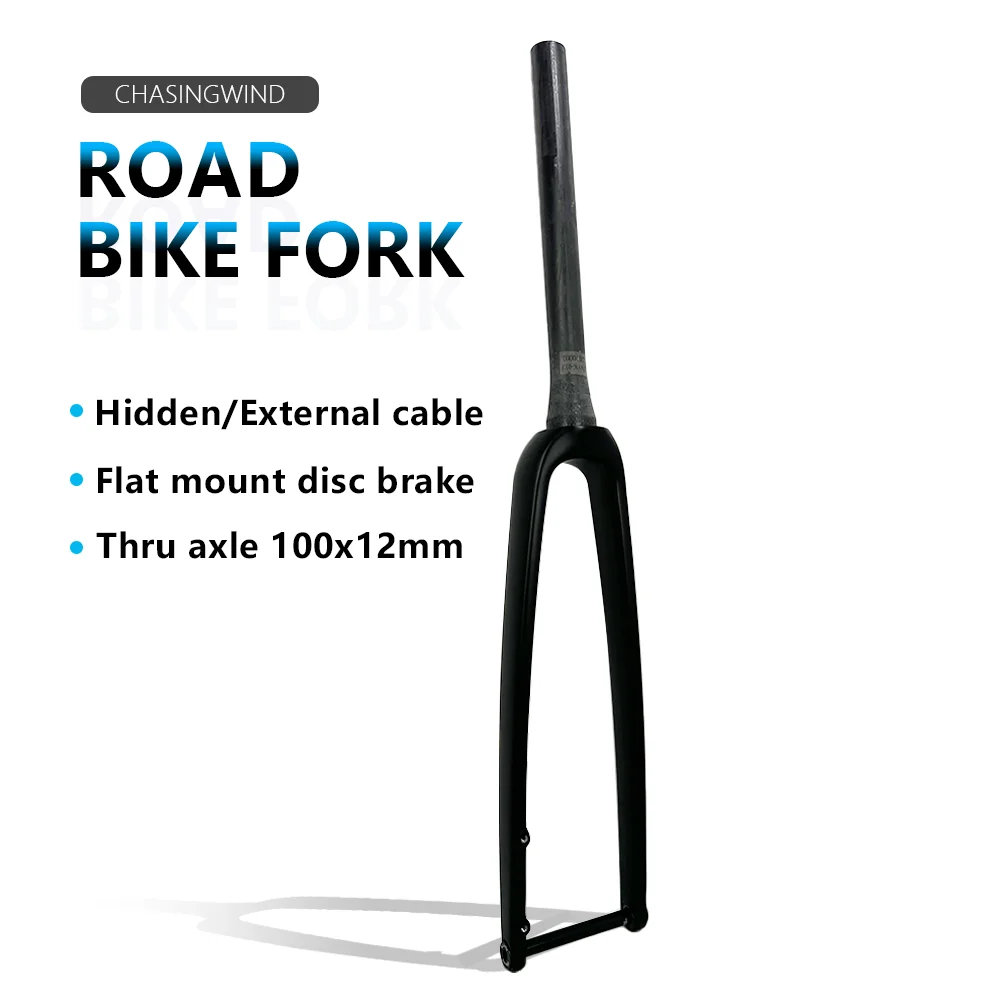 Road Bike Fork Carbon 700*38C Thru Axle 100*12mm Flat Mount Disc Brake