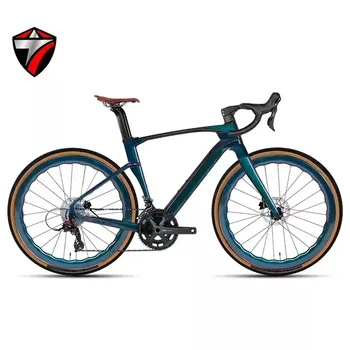Carbon 24-Speed Gravel Bike 1