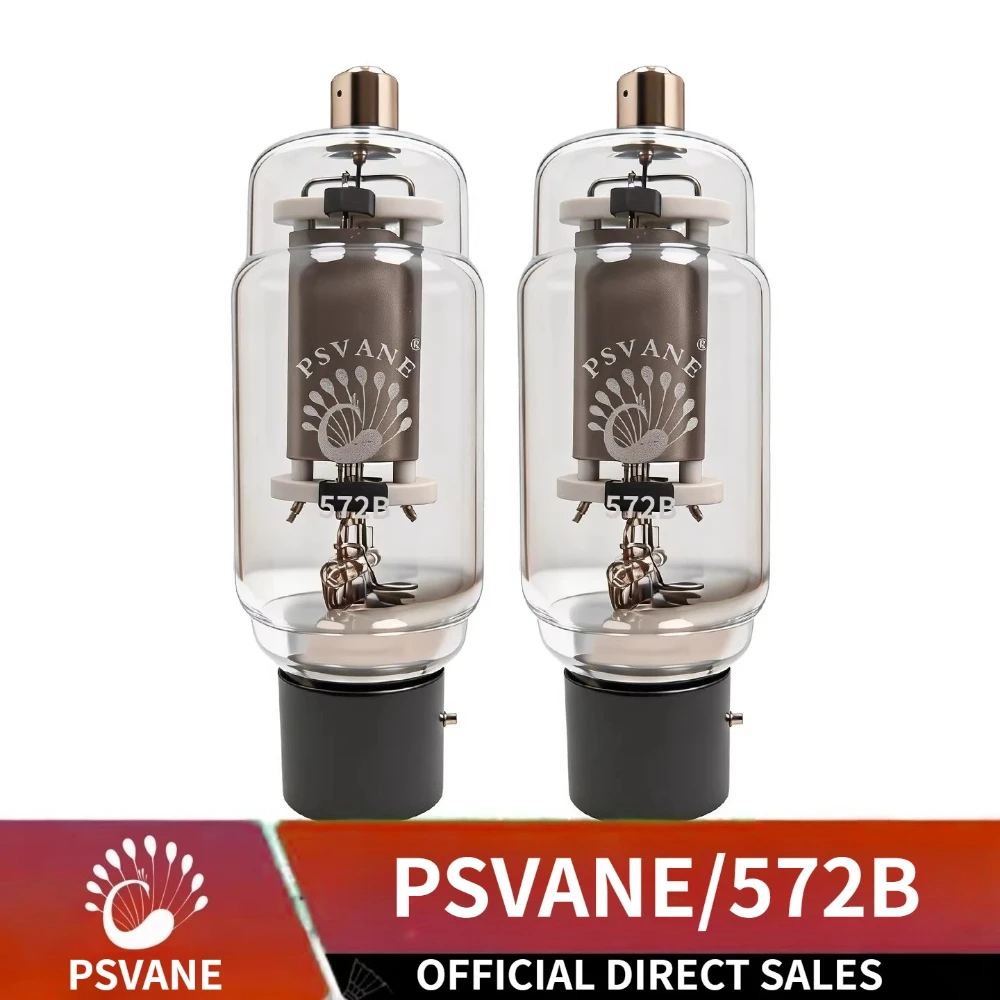 PSVANE 572B 전자관 직접 제작 FU-811 담낭형 증폭기 (의료기기용 오디오 증폭기)