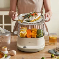 Household Food Steamer Cooker Steamed Vermicelli Roll Multifunctional Guangdong Rice Noodles Roller Breakfast Noodles Machine 1