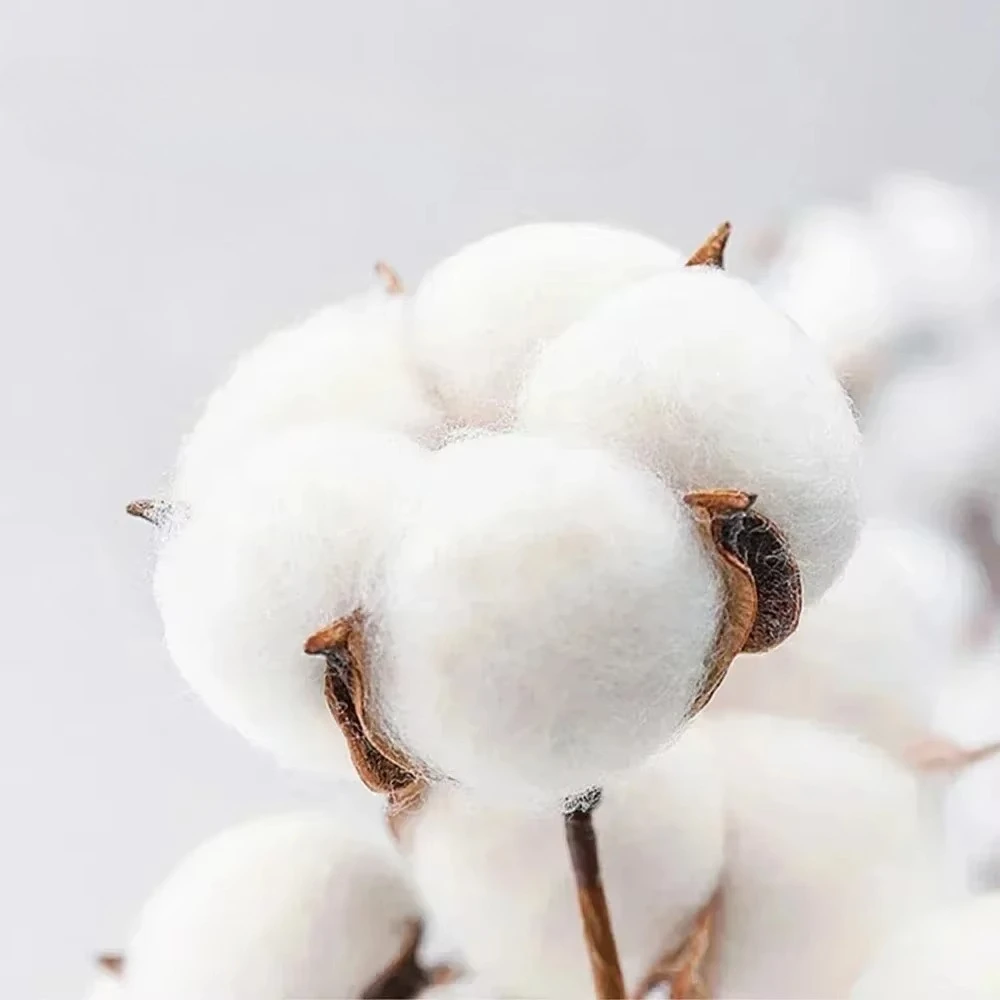 여름 여성용 면 패션 캐주얼 스포츠 티셔츠 CCCP 레터 펜타그램 프린트 라운드넥 반팔 티셔츠 유니섹스