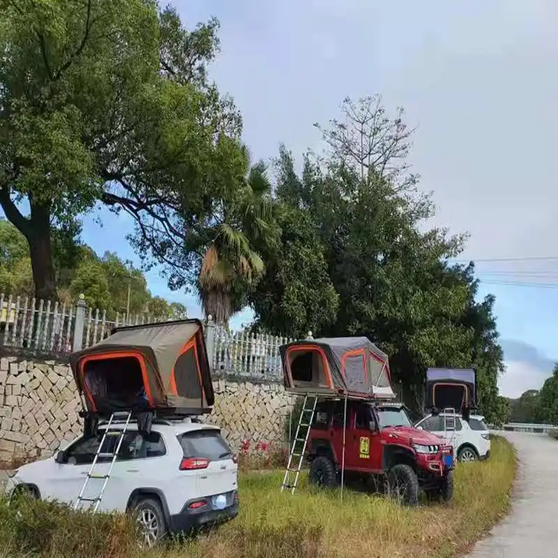 Camp4 Profi Kehrbesen mit Teleskopstiel, petrol/grau bei Camping Wagner  Campingzubehör