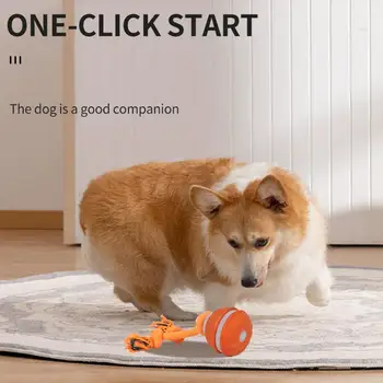 Automatic Rolling Pet Ball 6