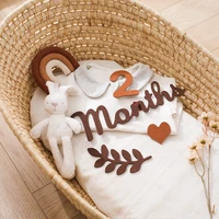 0-10 Digital Milestones Newborn Baby Milestone Wool Felt Digital Milestone Card Baby Newborn Photo Accessories Photography Gifts 4