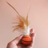 1/3Pcs Pet Cat Interactive Ball Toys Interactive Bouncy Balls with Feathers Indoor Cat Cat Toys Deplete Cat's Excess Energy 5