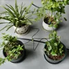 2L 4L 8L Dripper Micro Irrigation 2/4-way Arrow Dropper Connector Cross Water Splitter Emitter Drip Arrow Drip Irrigation System 3