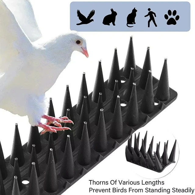 1/10pcs Fence Wall Plastic Anti-Bird Spikes Balcony Eaves Windowsills Bird Repellent Anti-Cat Bird Repeller Thorn supplies 2