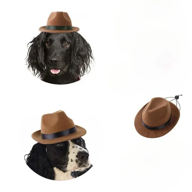 Fashion Cat Clothes Bat Wings Funny Dog Costume Artificial Wing Pet Cosplay Prop Halloween Christmas Cat Costume Pet Products 6