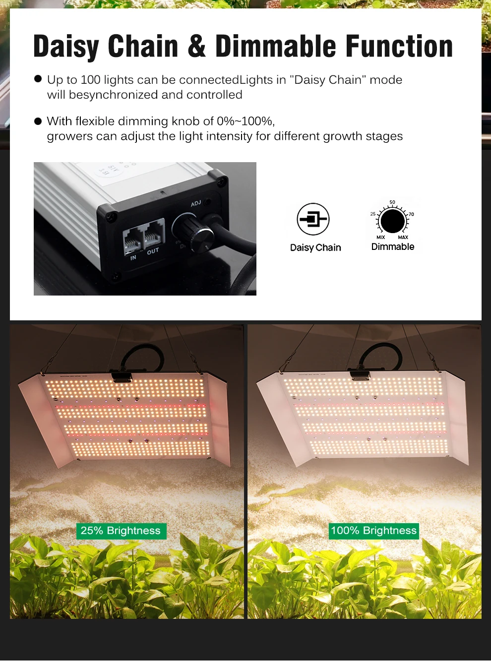 200W Vollspektrum-LED-Wachstumslicht AC100-240V SMD3030 für Gewächshauspflanzen Unabhängige rote LED-Wachstumslampe für Gemüseblumen – Detail 8