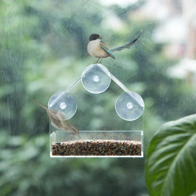Mangeoire à oiseaux transparente en acrylique avec ventouse, mangeoire pour  animaux de compagnie, fenêtre de visualisation, type de maison - AliExpress