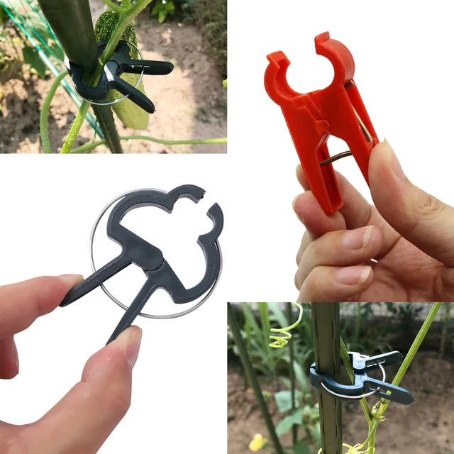 2 db Kerti Növényi Klip Paradicsom Tartó Szőlő Szőlőültetési Köteg Bambusz Halom Mászó Növény - Image 2