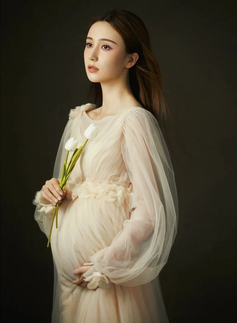 Women\'s Champagne Maternity Photo Shoot Long Sleeves Tulle Floral Pregnant Photography Props Long Mesh Maxi Dress