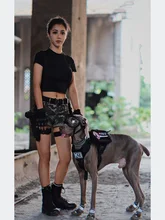  Tactical Dog Harness and Leash Collar Set Pet Training Walking Vest With Molle Harness For All Small Medium Big Large Dogs 