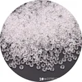 01 Transparent white