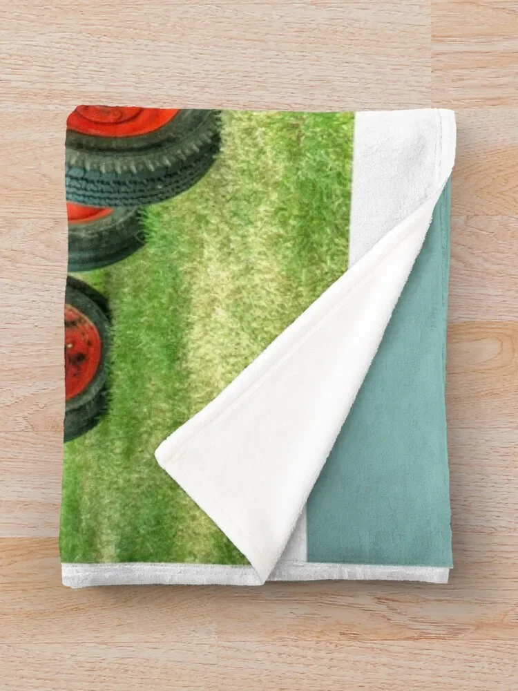 South Molton Nuffields ���, �ε巯�� ���� ���, ���� ħ��