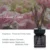 Moon Light-100ml