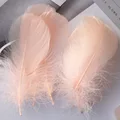 Champagne