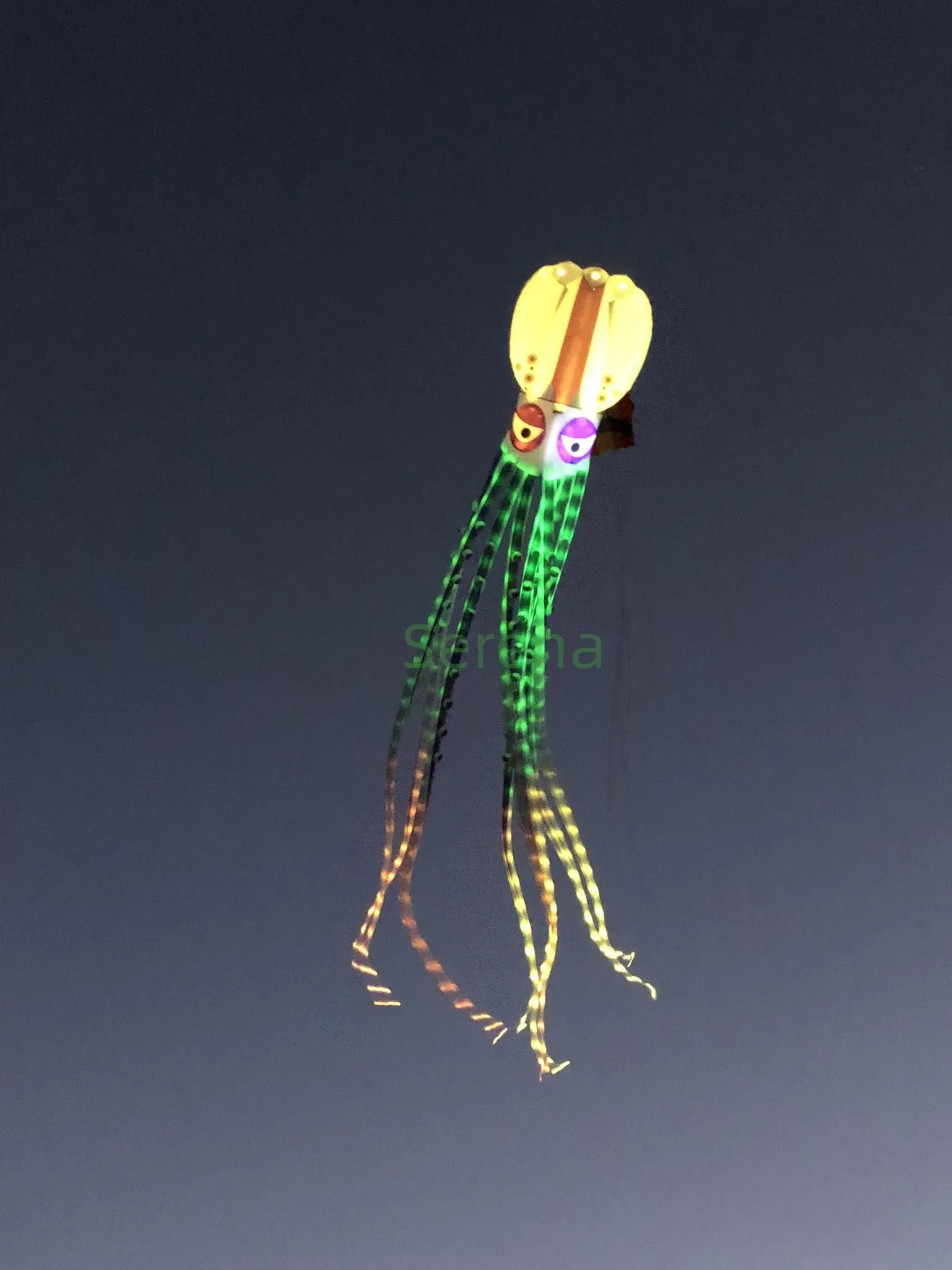 Show kite 18m LED soft octopus big inflatable kite flying kites with lights for adult with battery 30D Ripstop Polyester Fabric 5