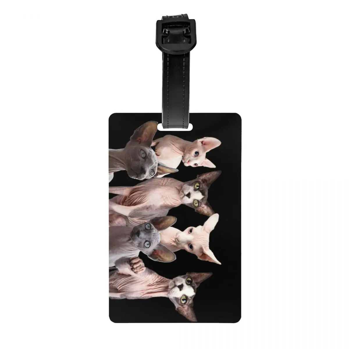 

Custom Sphynx Cat Luggage Tag Privacy Protection Kawaii Kitten Baggage Tags Travel Bag Labels Suitcase