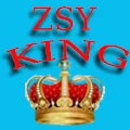 Zsy-King Store