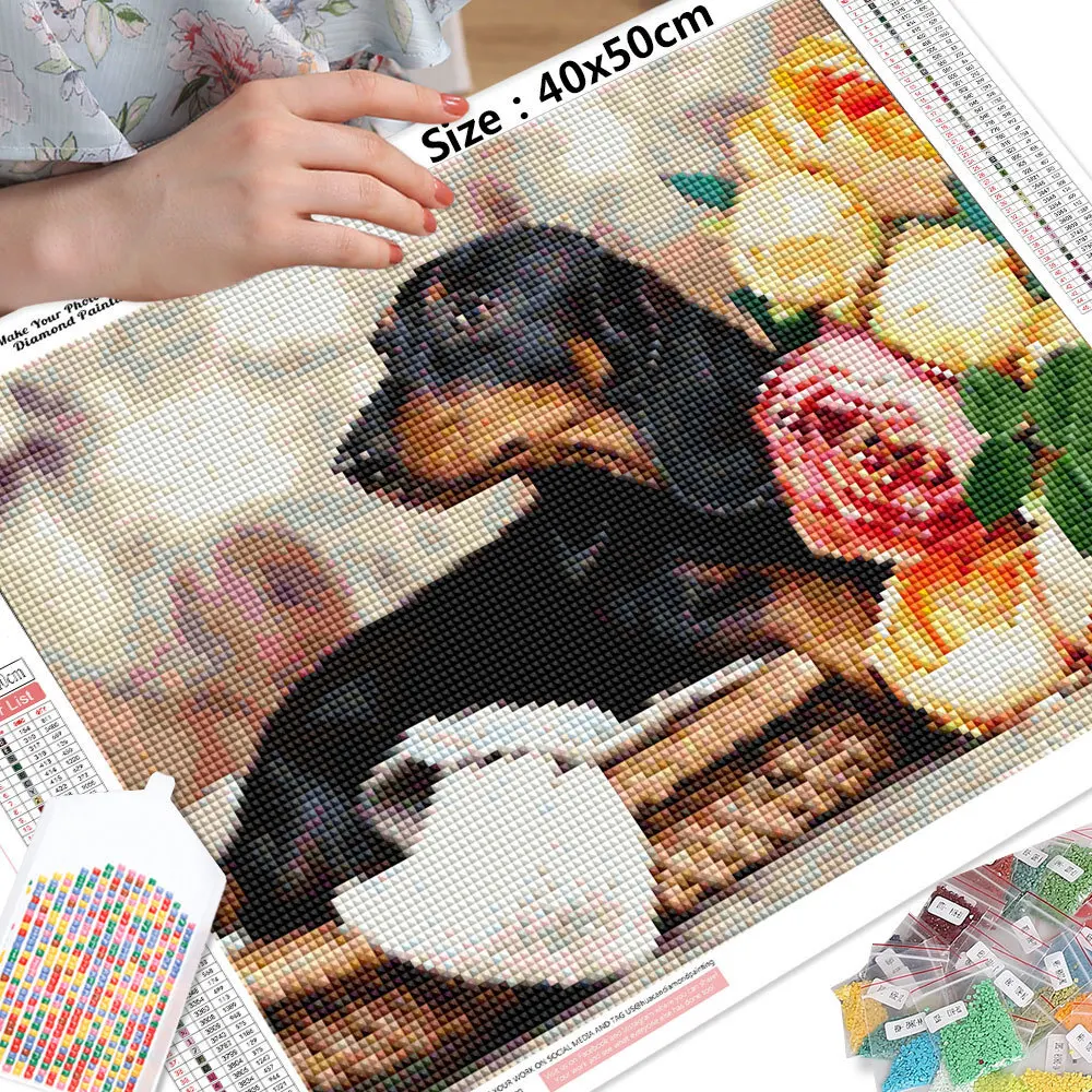 Kattenkop, Kat, Schattige Kat, Pot Afbeelding PNG Met Transparante  Achtergrond Voor Gratis Download, image size:1000x1000