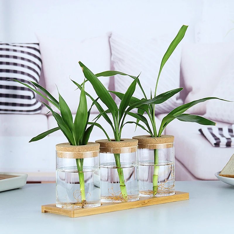 Lanting-jarrones pequeños para plantas verdes, macetas para flores,  orquídeas hidropónicas transparentes, florero de cristal de imitación, P -  AliExpress