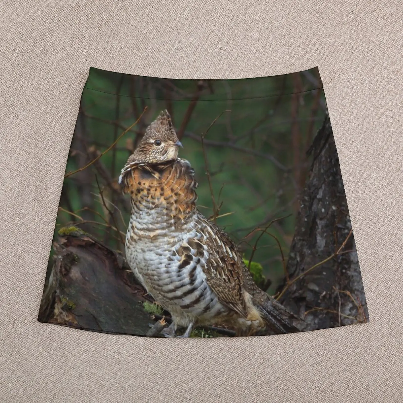 Ruffed Grouse - Algonquin Park, Canada Mini Skirt korean luxury clothing short skirt Women's skirts School skirt