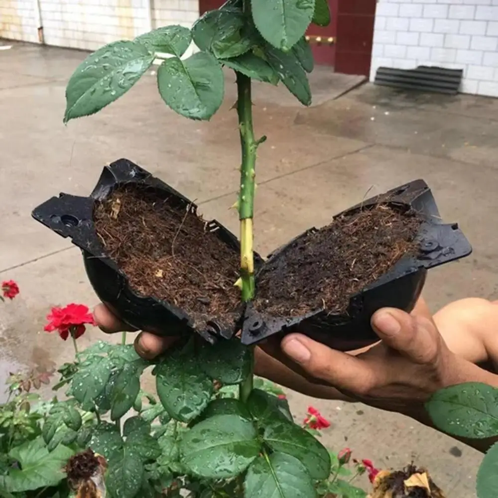 1 pcs Plant Rooting Ball Grafting Rooting Growing Box Breeding Case For Garden Botany High Pressure Root Control Device plant rooting box plant rooting pot