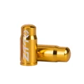 2pcs GOLD