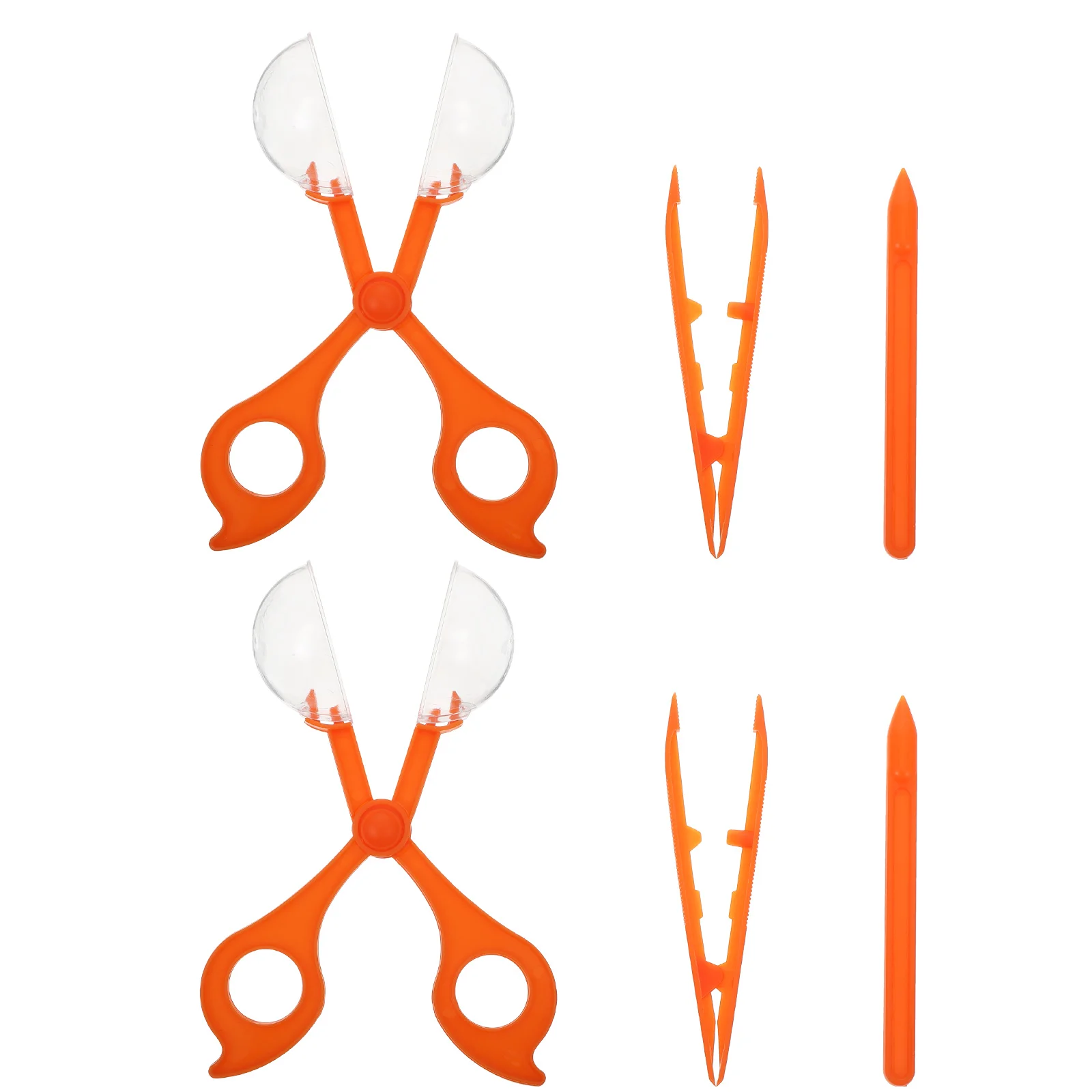 

Three-Piece Set for Catching Insects Collector Catchers Plastic Gatherer Tweezers Toys Outdoor Capture Tools Scissors Clip Kids