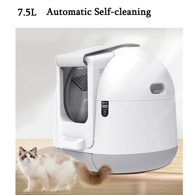 Self-cleaning Toilet